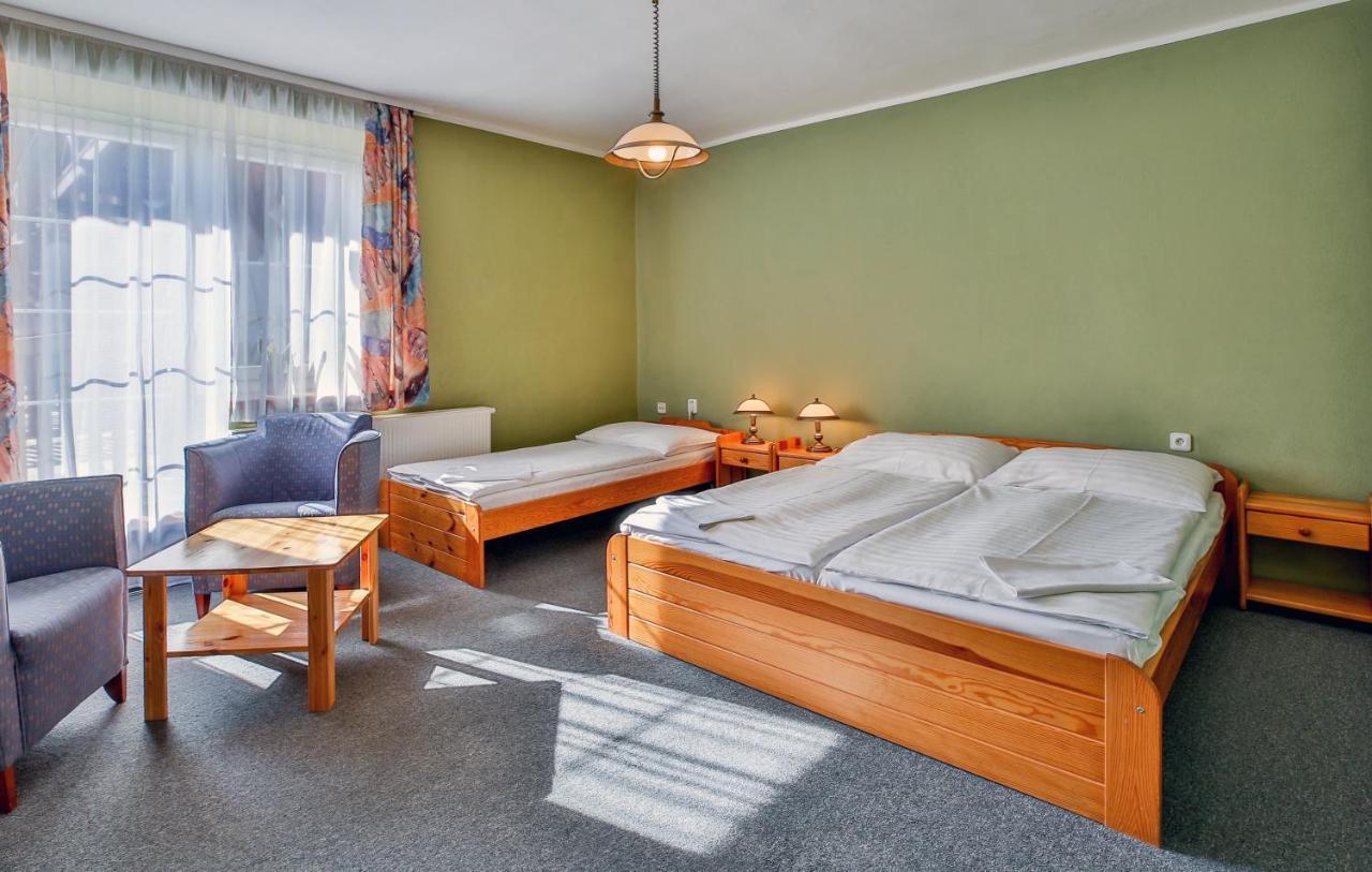 Guest house Penzion Vyton *