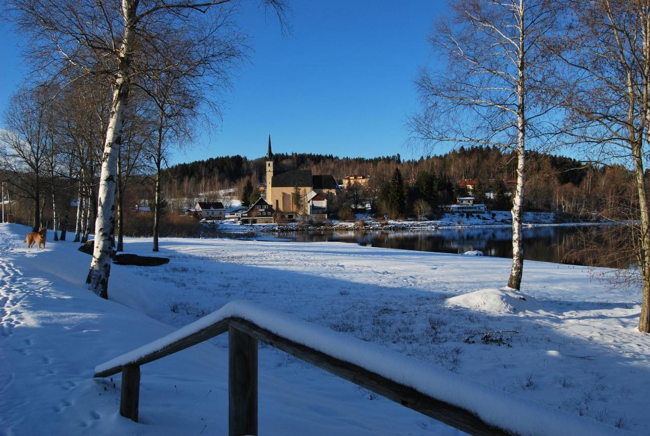 Penzion Vyton * Predni Vyton